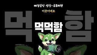 배경음악 영상-유튜버편 (모든 유튜버분들께 위로되길 바라며…)