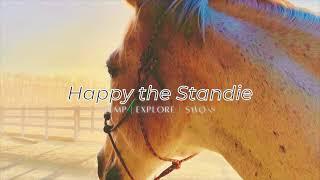 Welcome to our Channel! | Happy the Standie