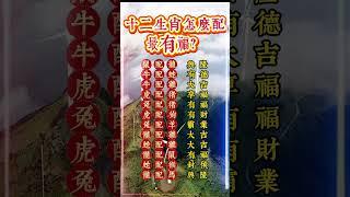 十二生肖怎麽搭配最有福？