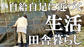 【自給自足】始まった山菜採り 野菜ときのこ栽培の田舎暮らしの生活。ふきのとうの天ぷら。自然豊かな山奥暮らしの日々｜村暮らし｜移住｜料理【標高800mの田舎暮らし】