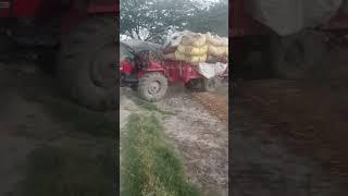 Sonalika Di 52 v/s Macy 7250 kaun sa powerful Hai comment mein #I like
