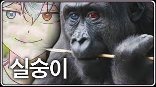 천재 탱커 실프