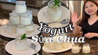 Vài bước bạn có thể làm Yogurt sữa chua mềm dẻo mịn thơm ngon - Vietnamese Yogurt  -  Cuôc Sống Mỹ