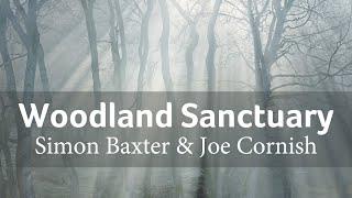 Woodland Sanctuary with Simon Baxter & Joe Cornish