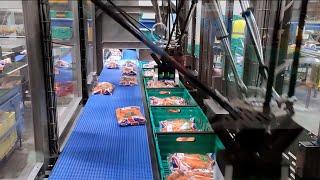 Brillopak's fully automated pick and pack machine with OMRON technology