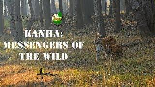 Messengers of the Wild- Nature Awareness Documentary: Kanha NP & The Last Wilderness Foundation