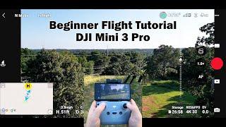 Beginner Flight Tutorial w/ the DJI Mini 3 Pro (Pt. 2)