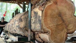 Senilai 30jt ! Kayu jati raksasa didatangkan langsung dari saradan digergaji sawmill bahan joglo