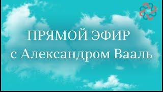 Прямой эфир: Михаил Кузнецов и Александр Вааль. Набор привычек счастливого человека.