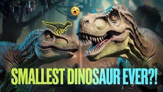 Smallest Dinasorus Ever! : Tiny Titans #education #science