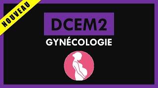 Gynécologie [Conférence] - DCEM2