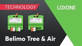 Nieuw: Belimo Tree & Air I 2022 I 4K