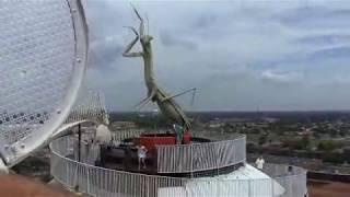 City museum rooftop tour with founder Bob Cassilly