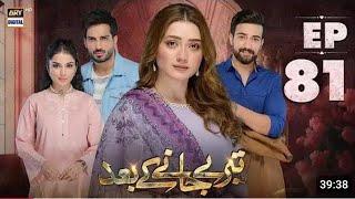 Teray Janay Kay Baad Episode 81 | 19th Nov 2024 | Tere Jaane Ke Baad Episode 81 | Extended Review