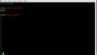 Run a Command From VIM - BASH - Linux