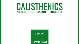 24. CALISTHENICS - Killer Core + Gambe e Tricipiti