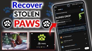 Recover Your Stolen PAWS Back | Pawsmas Task | MY PAWS GONE | Paws Mystery Quest Today | Paws Update