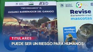 Noticiero EN VIVO 1 pm, 29 de octubre de 2024