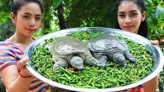 Yummy cooking turtle with chili recipe - Natural Life TV