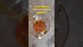 Arının kahrını çekmeyen balını yiyemez.#arıcılık #arı #bee #beekeeper #beekeeping #isparta #yalvaç