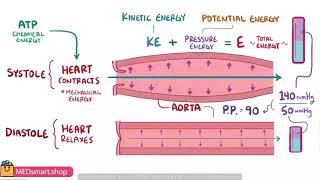 4  Compliance of blood vessels