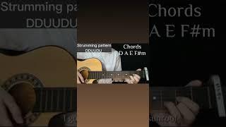 Sunroof - Nicky Youre and dazy (Guitar tutorial) #guitarchords #short