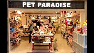 Pet Paradise, Shibuya | Virtual Shopping Tokyo