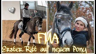 FMA - ERSTER RITT AUF DEM NEUEM PFERD ️ // ASKINO