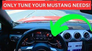 Here's WHY The LUND RACING TUNE Is The BEST Tune For Your MUSTANG!