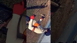 Snake head fish catch and release#shorts