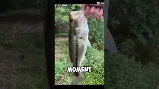 #bass #baitcaster #bassfishing #fish #edit #fishingislife #fishing #edits #fypシ゚viral