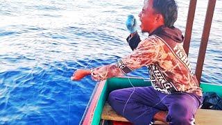 FISHING FOR RED Snapper AT NIGHT FULL STRIKE UNTIL THE MORNING, PROVEN RESULTS IN THE MILLIONS