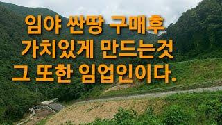 임야매매 경북 포항시 북구 임업인 활용법 마을에서 산 입구 시멘트 포장도로 저수지 계곡옆 위치 임업인 귀산 산야초 도시인접  마을 주변산 송전탑 축사 없음 청정지역 요양 전원생활