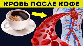 Вот она - ПРАВДА! Что кофе творит с кровью и организмом даже одна чашка?