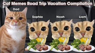 Cat Memes Road Trip Vacation Compilation