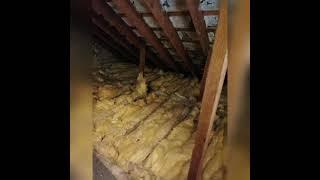 Attic insulation in Dublin. Ireland.