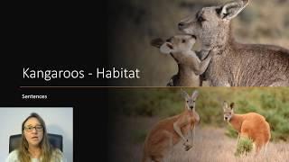 Kangaroo Habitat Sentences