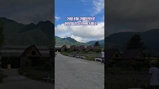 거창 6월 가볼만한곳 경남 라벤더 명소 거창 허브빌리지
