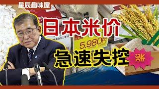 哄搶、比肉還貴！上有金融遊戲，下有投機倒把，日本大米價格如何暴漲？｜星辰趣味屋