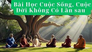 Bài Học Cuộc Sống, Cuộc Đời Không Có Lần Sâu