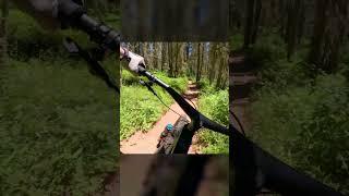 Nothing Compares To That Sound... #mtb #ridemtb #mountainbiking #shorts