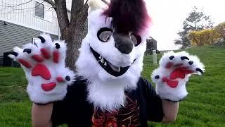 Sergal Partial FOR SALE