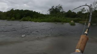 Lure Fishing for Saltwater Barramundi in Weipa...Landbased Runoff!