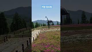 # 거창 창포원 # 거창 가볼만한곳#경남거창
