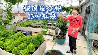 清明前后种什么瓜菜好？看三妹家楼顶菜园种的13种瓜菜，你喜欢吗