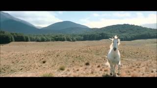 LOTR The Two Towers - Shadowfax