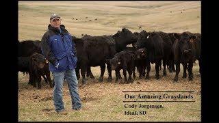 Our Amazing Grasslands | Jorgensen Partnership, Ideal, SD