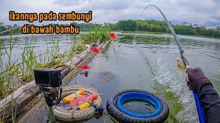 BENAR DUGAANKU‼️ DEBIT AIR NAIK IKAN PADA KELAPARAN || mancing ikan nila di waduk karangkates