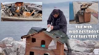 The Mystery of the Man Who Destroys Cat Shelters