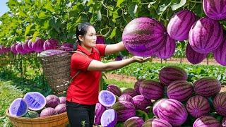 3 Days Survival in The Deep Forest | Harvesting Mutant Purple Watermelons & Go To Market Sell